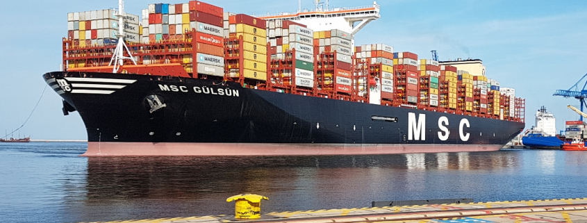 Naviera MSC ofrece plataforma con cotización online automática