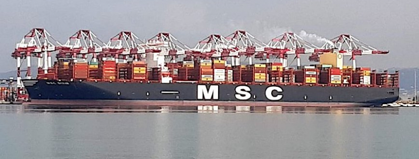 Subió un 78_ la llegada de portacontenedores gigantes en el Port