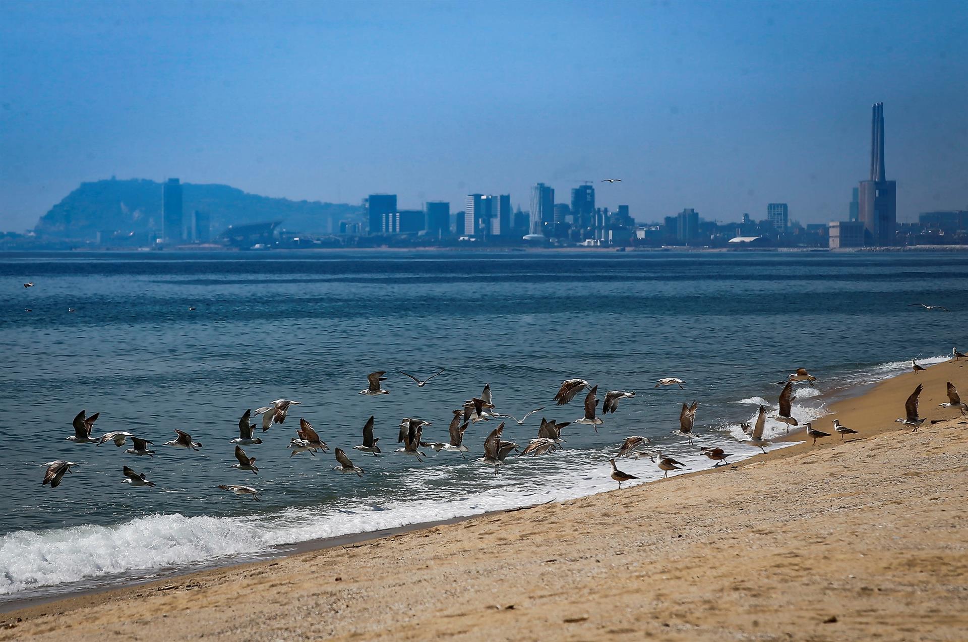 Barcelona será sede mundial del World Ocean Council para impulsar la economía azul