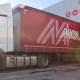 moldtrans