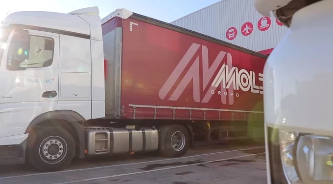 moldtrans